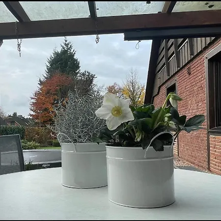 Landmeer *
